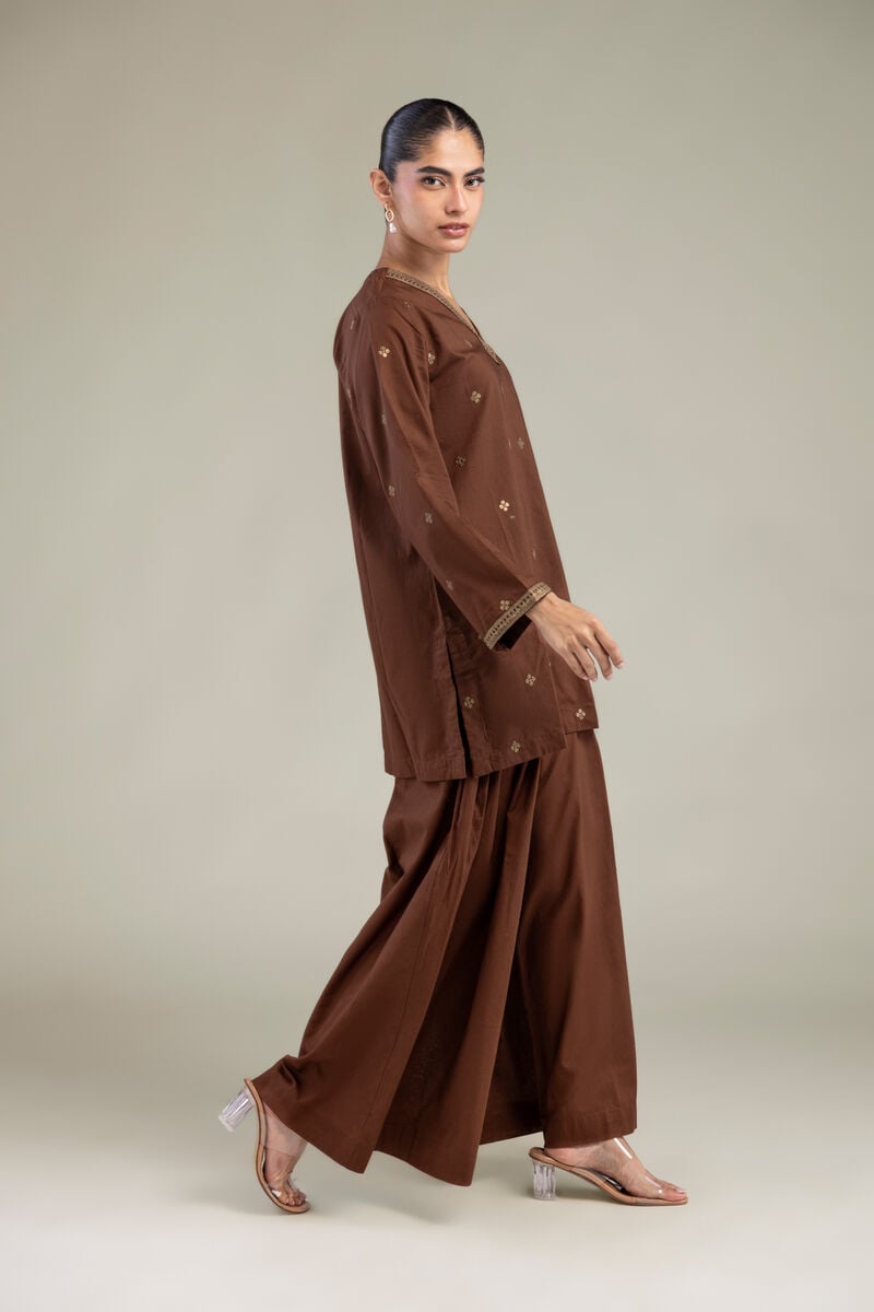 Brown Solid Pants